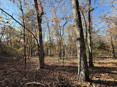 Lot 40 Point Ct, Sundown, MO 65761 - photo 2