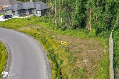 L18 B6 Mona Ave, Anchorage, AK 99516 - photo 6