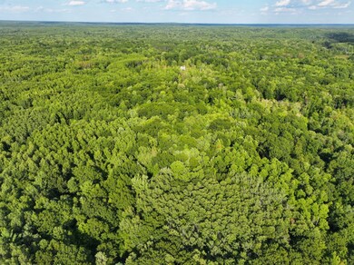 4314 Adams Rd, Lake, MI 48632 - photo 6