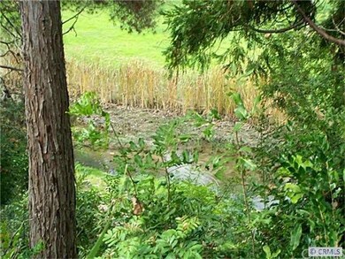 VIEW OF WILDERNESS AREA FROM WALK
