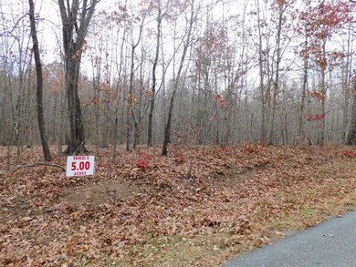 5 Acres Brights Rd, Gretna, VA 24557 - photo 4