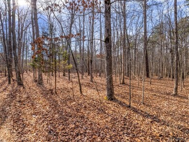 0 Watkins Landing Rd unit 2201637, Powhatan, VA 23113 - photo 2