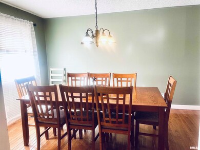 801 S Cottonwood St, Virginia, IL 62691 - photo 3