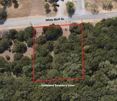 19140 White Bluff Dr, Whitney, TX 76692 - photo 2