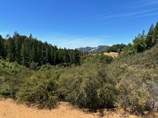 4901 Stewarts Point Skaggs Springs Rd, Geyserville, CA 95441 - photo 7