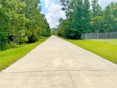 Looking east from the front of the lot.