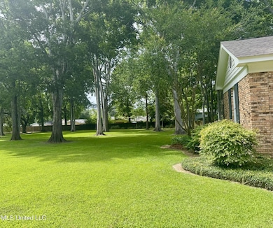 305 Creek Bend Rd, Natchez, MS 39120 - photo 4