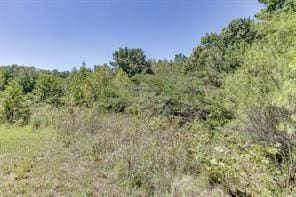 View of landscape featuring a view of trees
