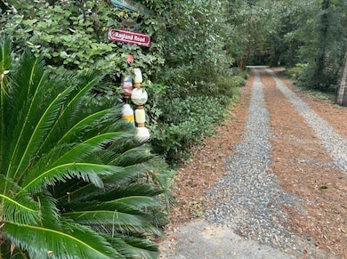 Tree Lined Driveway
