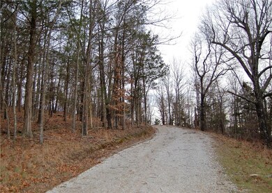 11402 Colcleasure Rd, Fayetteville, AR 72701 - photo 6