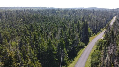 34 Yoho Head Rd, MacHiasport, ME 04655 - photo 4