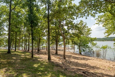 3273 Pioneer Point Rd, Galena, MO 65656 - photo 2