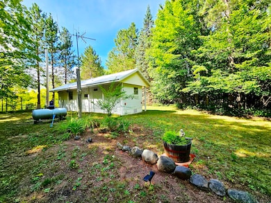 5178 M-135, McMillan, MI 49853 - photo 2