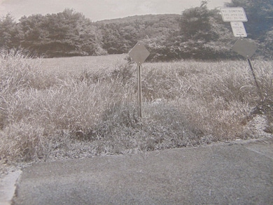 01 Green Meadow Rd NW, Huntsville, AL 35810 - photo 7