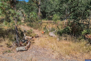 28920 Sheep Head (Next To) Rd, Brownsville, OR 97327 - photo 3