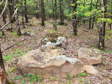 N 4293 Rd Mountain View Estates, Clayton, OK 74536 - photo 5