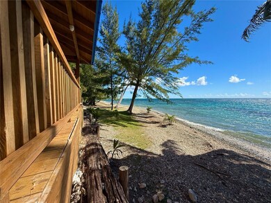 3 Guaradrraya, Patillas, PR 00723 - photo 4