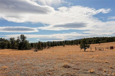 000 Twinkle Rd, Guffey, CO 80820 - photo 4