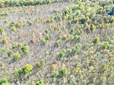 00 County Road 500 N, Olney, IL 62450 - photo 2