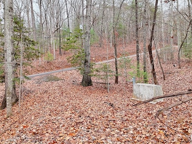 Tract 3 Wilmar Cir, Blairsville, GA 30512 - photo 4