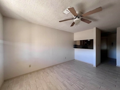 216 E Cherry Ln unit 12, Laredo, TX 78041 - photo 4