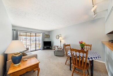 Dining and Living areas