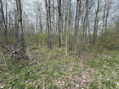 1320 County Route 49, Winthrop, NY 13697 - photo 2