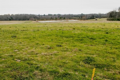 0 Seminary Rd, Manchester, TN 37355 - photo 3