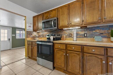 16097 Trawalter Rd, Atascosa, TX 78002 - photo 7