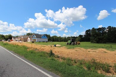 30 Round Mountain Rd, Conway, AR 72034 - photo 4