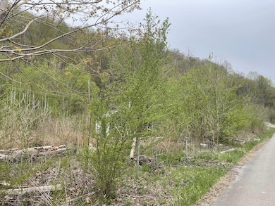 16 Logan Rd, Page, WV 25119 - photo 2