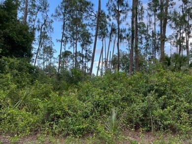 1808 Robert Ave, Lehigh Acres, FL 33972 - photo 3