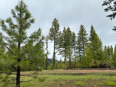 27 Sawtooth Loop unit Lot 23, Cascade, ID 83611 - photo 7