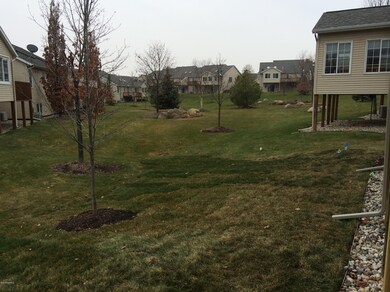 2560 backyard