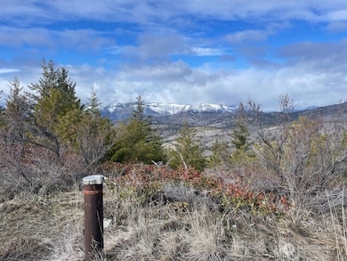 0 nna Echo Ridge, Chelan, WA 98816 - photo 7