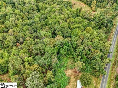 3865 A B Jacks Rd, Laurens, SC 29360 - photo 4