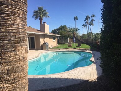 Gorgeous pool!