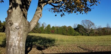 823 Smokey Rd, Rutledge, TN 37861 - photo 2