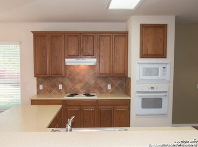 10403 Rainbow View, Helotes, TX 78023 - photo 6