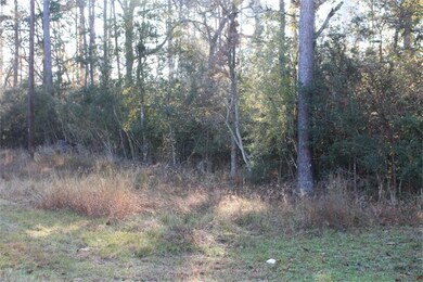 26527 Joseph Rd, Hockley, TX 77447 - photo 2