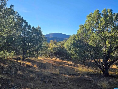xxx Sanctuary Rd, Silver City, NM 88061 - photo 4