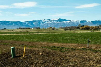 Bobcat Estates 2024 Spring__17