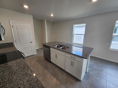 359 Caryota Ct, New Smyrna Beach, FL 32168 - photo 3