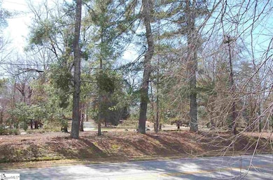 1303 Roe Ford Rd, Greenville, SC 29617 - photo 2