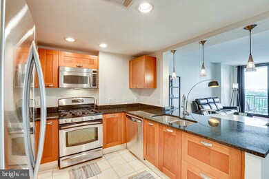 Midtown Alexandria Station Condominiums unit 1309, Alexandria, VA 22303 - photo 4