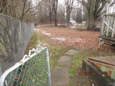 Back yard