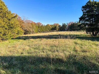 0 Scanlon Dr, de Soto, MO 63020 - photo 5