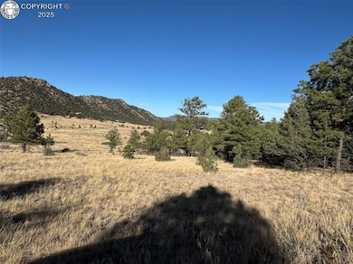 Lot 35 Stephens Dr, Westcliffe, CO 81252 - photo 2