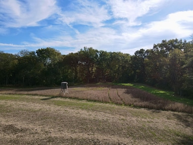 00 Union Grove Rd, Greenville, IL 62246 - photo 2