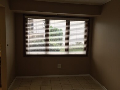 271 W 1st St, Elmhurst, IL 60126 - photo 5